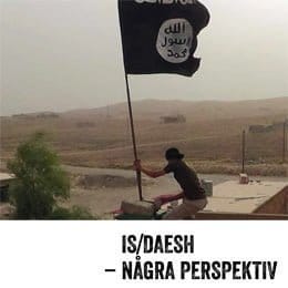 IS_Daesh_omslag_slv