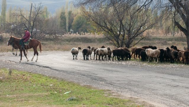 En missionsutmaning av nytestamentliga mått