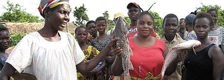 Var med och påverka det internationella arbetet