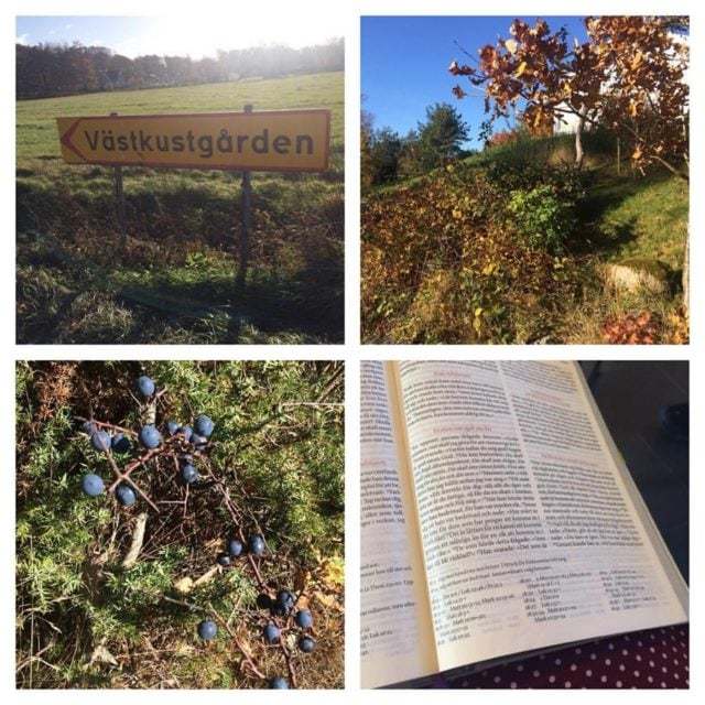 En dag i tystnad och stillhet…