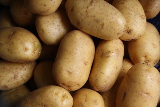 Vilken är vår tids potatis?