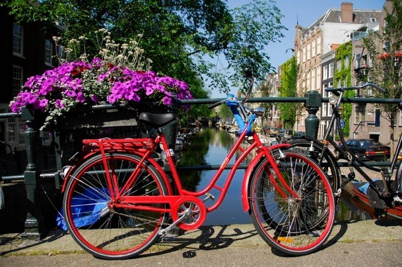 rödcykel