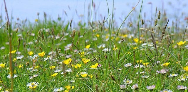 Blogg: Förvandling pågår