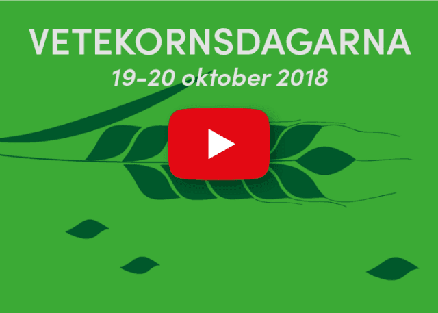 Seminarier och panelsamtal från Vetekornsdagarna 2018