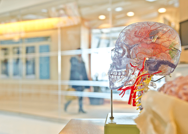 En dag om naturvetenskap och kristen tro