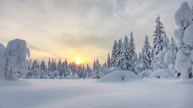 Vasatinget 2019 – årets vinterting!