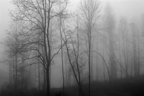 And_then_-_November_(6310199747)