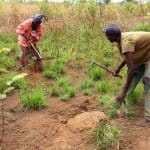 Arbete på fältet i Ntot Ndombe