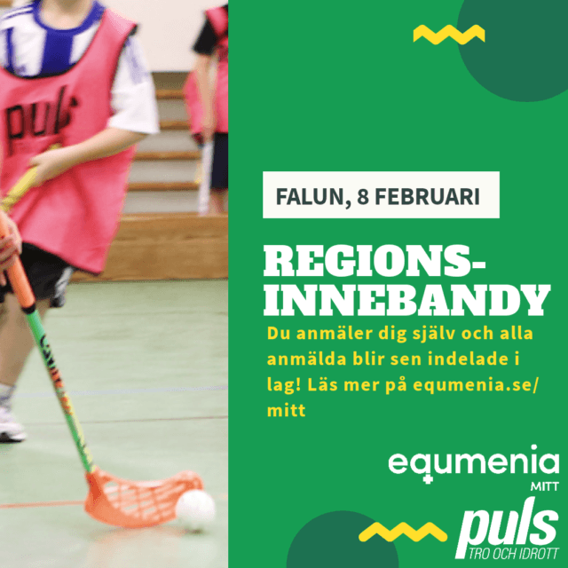 Regionsinnebandy 8 februari