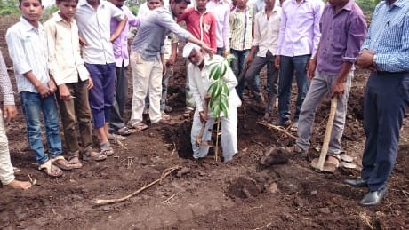 Skolklasser får lära sig plantera träd - en investering för framtiden