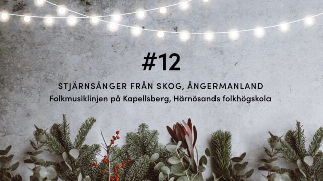 #12 Stjärnsånger från Skog, Ångermanland