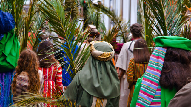 Palmsöndag den första advent – varför då?