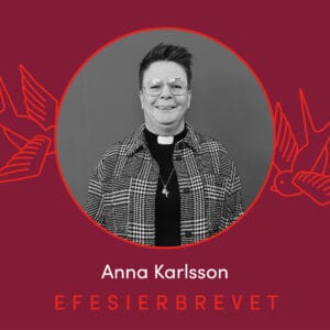 Efesierbrevet - Bibelstudier