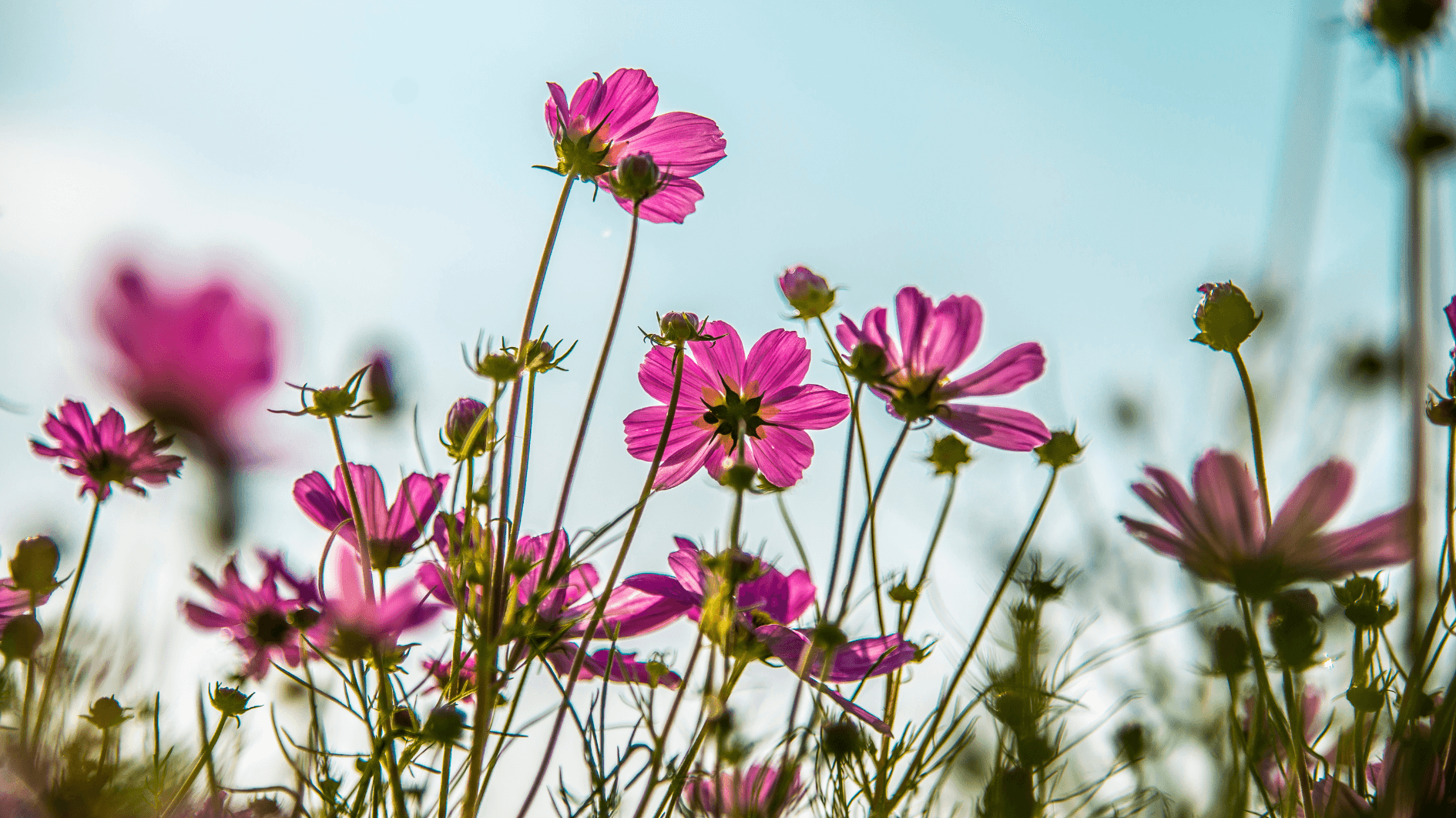 Träff för pensionerade medarbetare