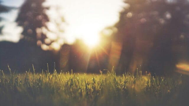 Psalm 36 – I Guds ljus ser vi ljus