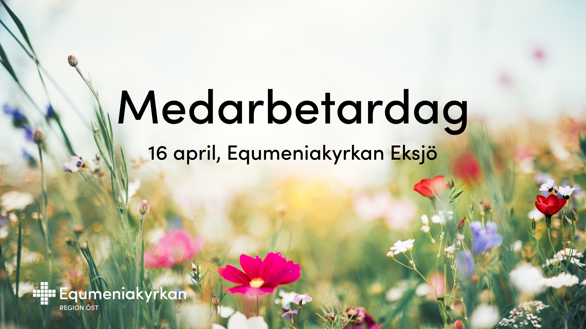 Medarbetardag