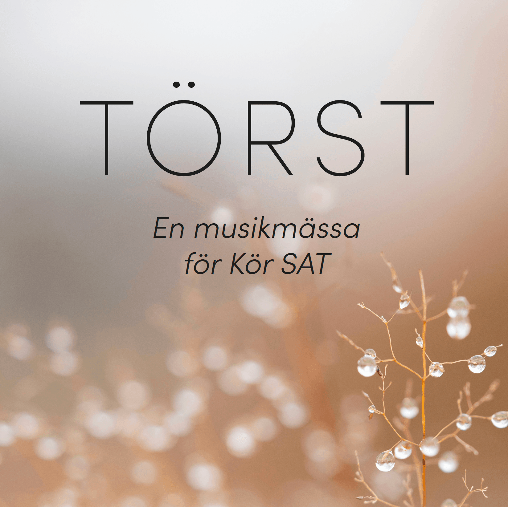 Törst – en musikmässa, SAT  – enskild kopia