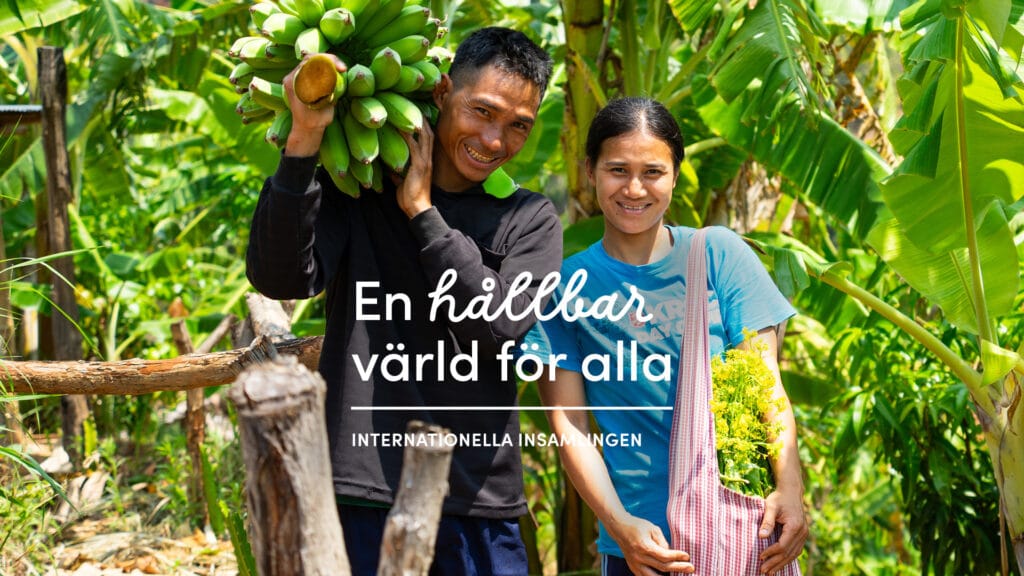 Internationella insamlingen - En hållbar värld för alla