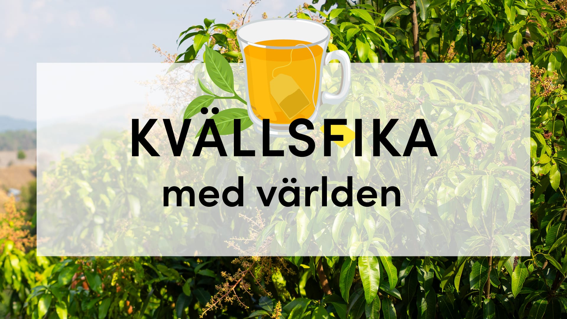 Kvällsfika med världen