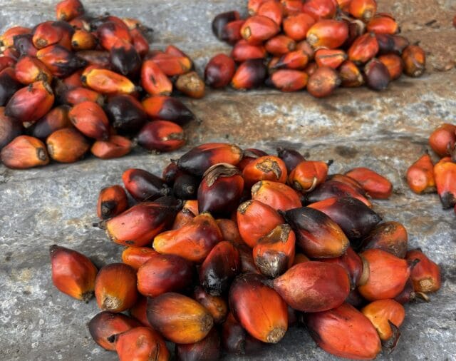 Vad är det för fel på dig?