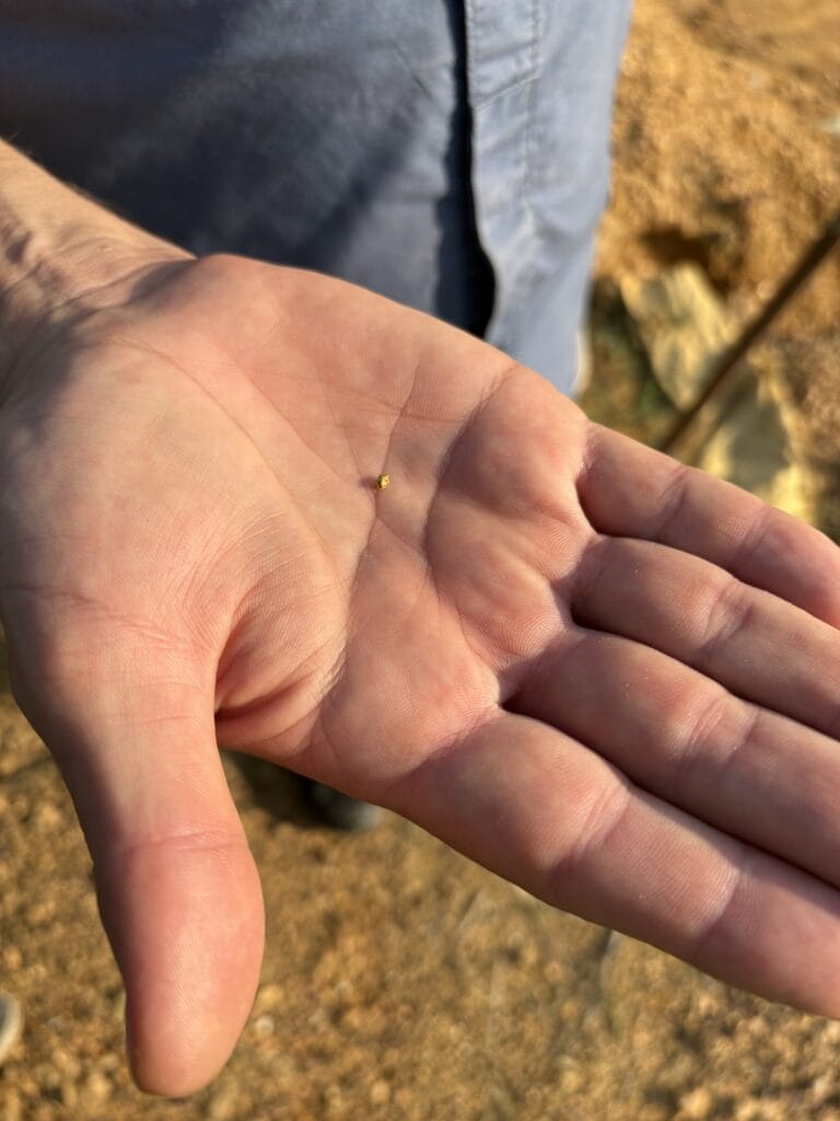 Guldkorn, dagens skörd, ca 100 kronor, Dimonika i utkanten av Mayombeskogen, Pointe Noire, Kongo.