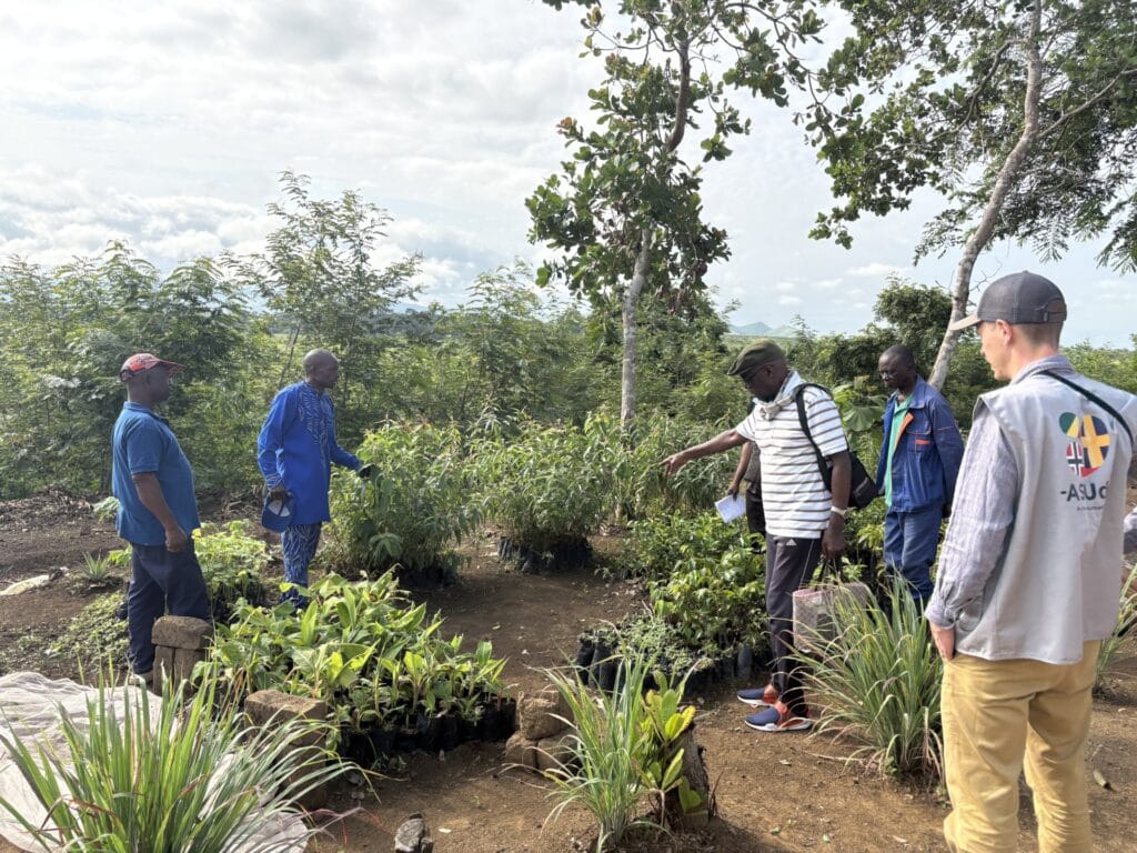 Den ansvarige för plantskolan i Nkayi berättar om de olika arterna av träd som vi driver fram för olika ändamål.