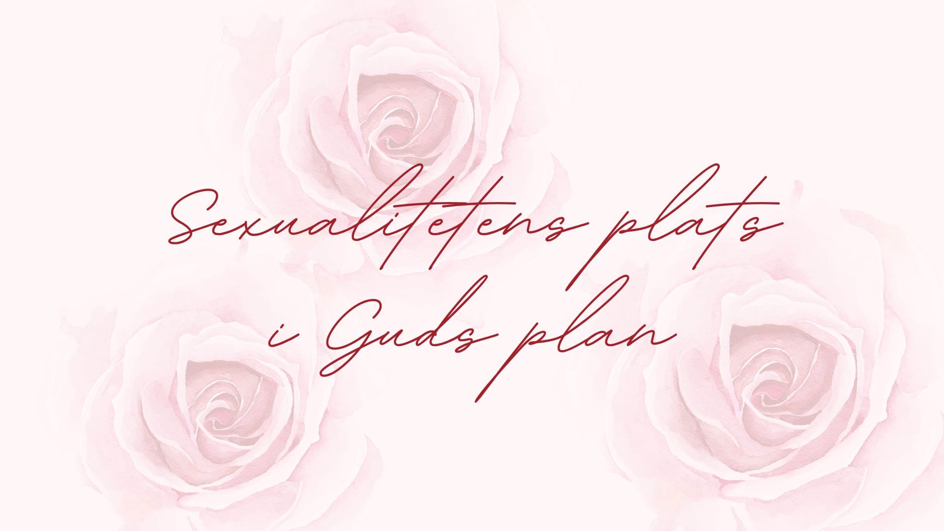 INSTÄLLT: Sexualitetens plats i Guds plan