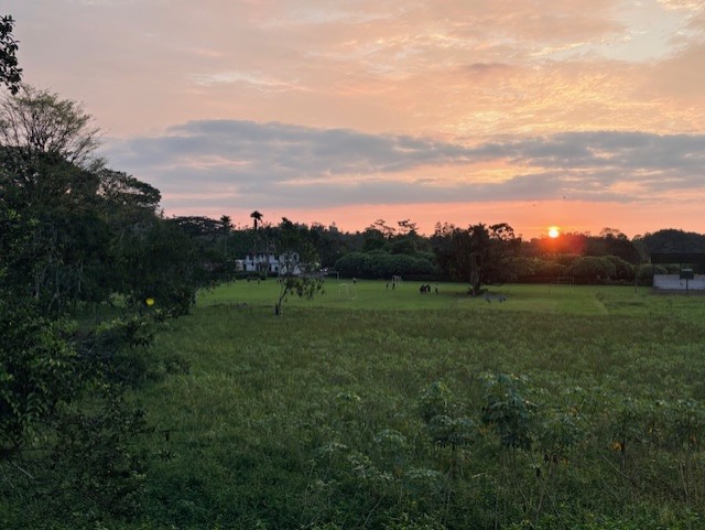 En vecka på kusten – Del 1