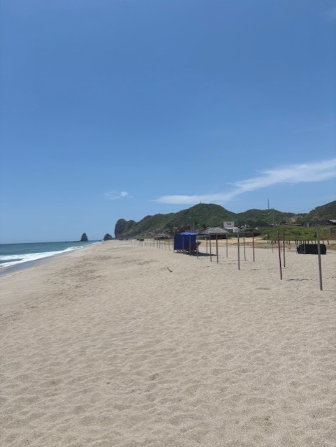 En vecka på kusten – Del 2