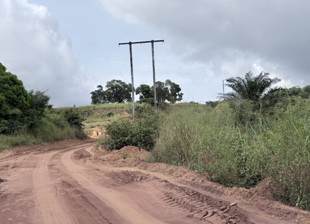 Övergivna elstolpar längs Kongofloden strax sydväst om Brazzaville.
