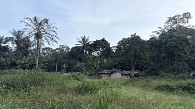 Upp och ner på flera sätt