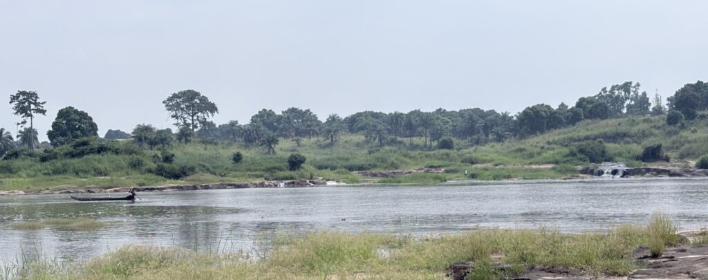 Kongofloden