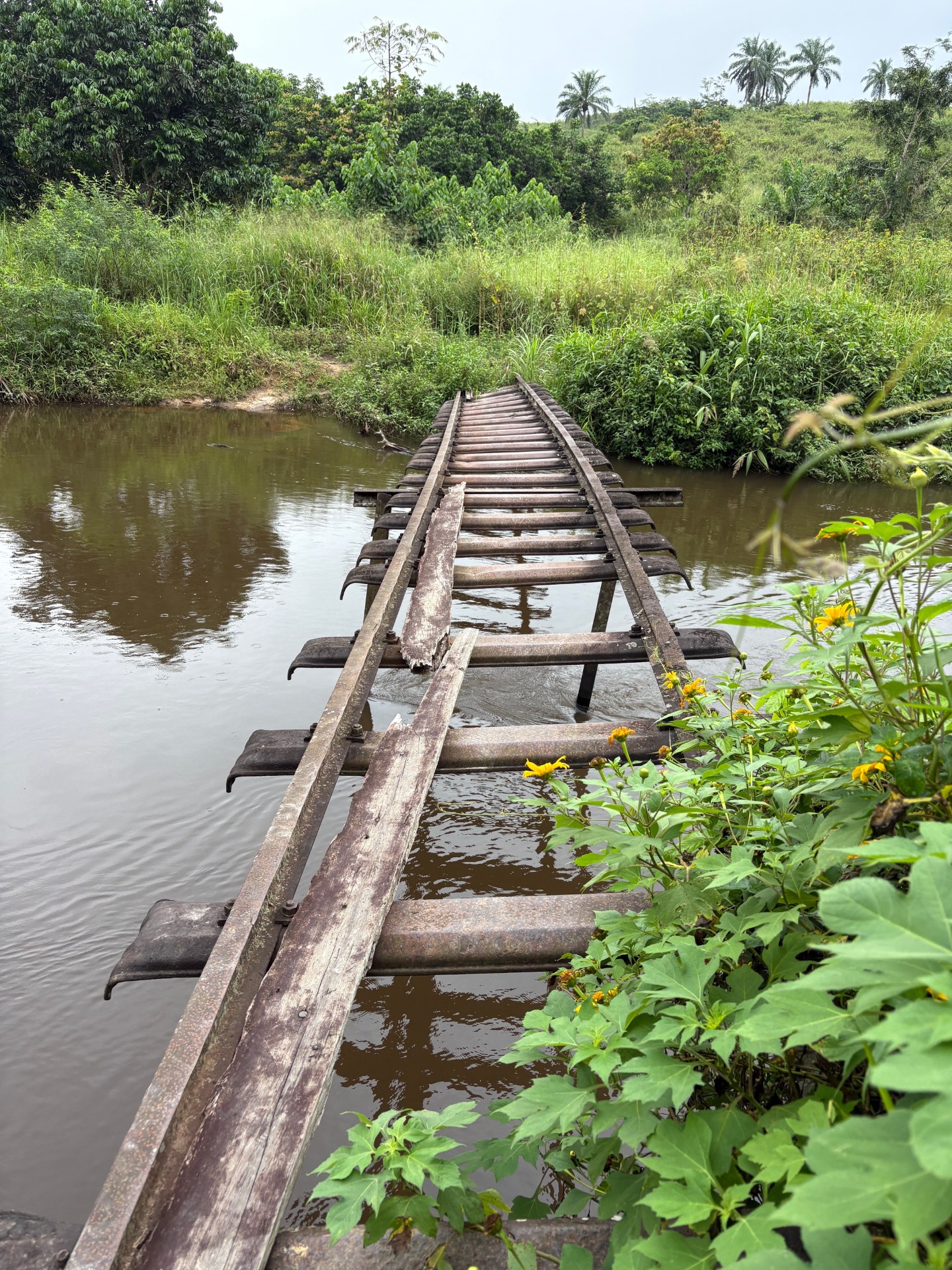 Del av järnvägsräls som används som gångbro över ån genom byn Tsimba.