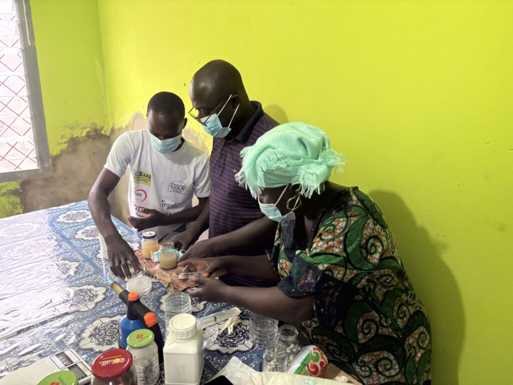 Samarbete för att starta upp en svampodling för kommande export till Kina. Kombé sydväst om Brazzaville.